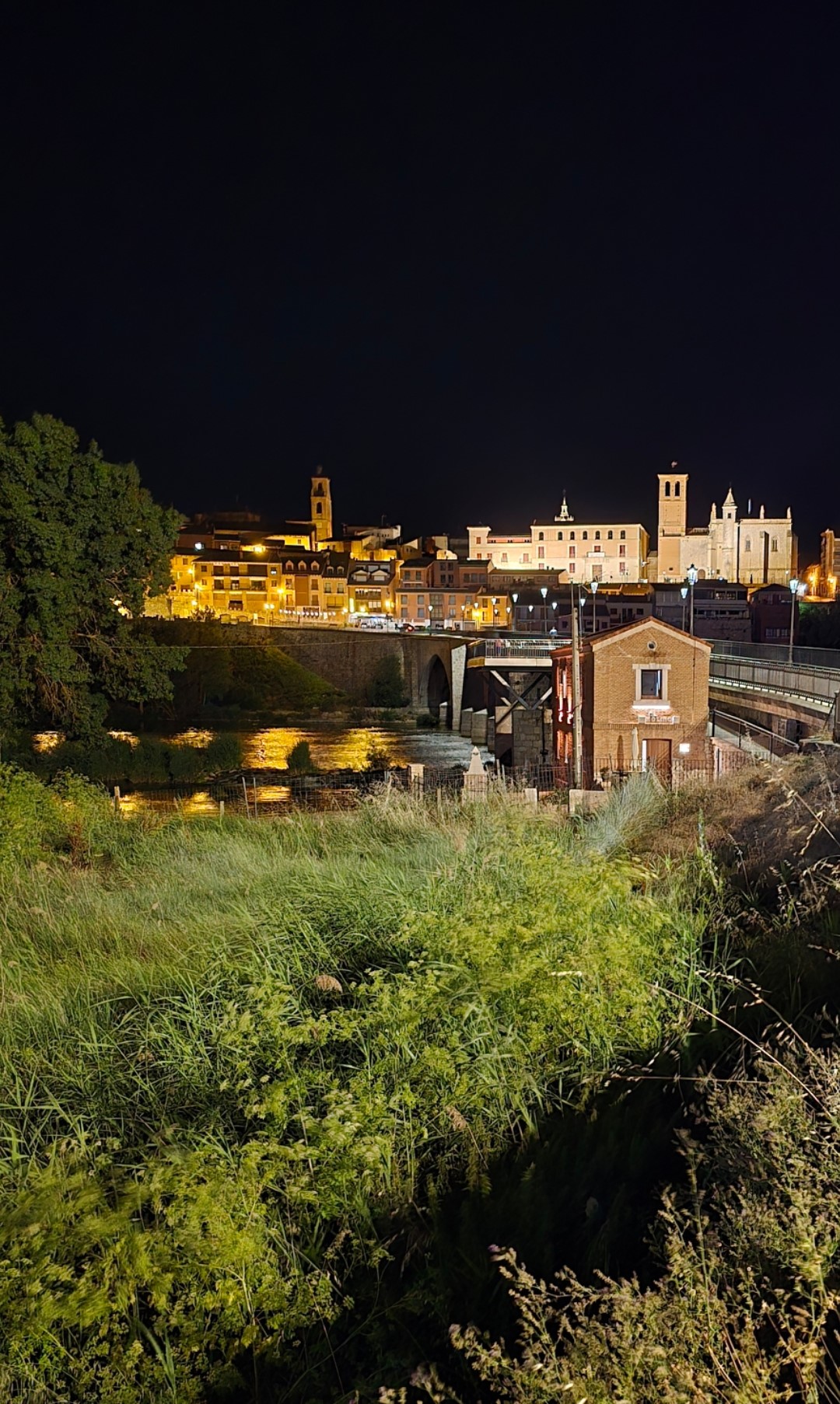 MolinoNoche1